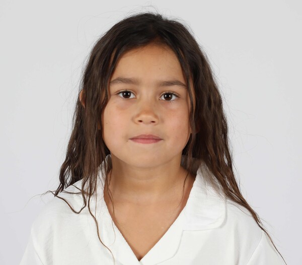 Fende